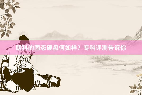 朗科的固态硬盘何如样？专科评测告诉你