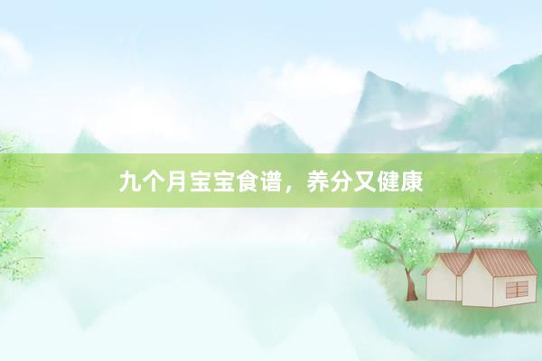 九个月宝宝食谱，养分又健康